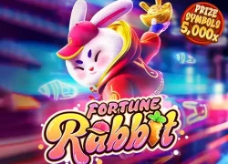 Fortuna Rabbit