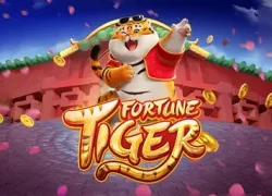 Fortuna Tiger